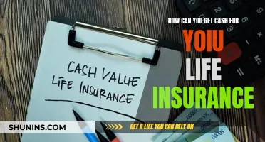 Unlocking Cash from Your Life Insurance Policy