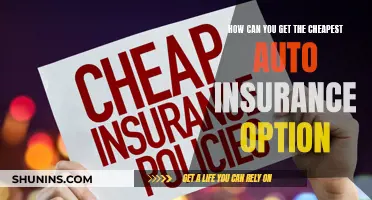 Finding the Best Deal: Navigating the Cheapest Auto Insurance Options