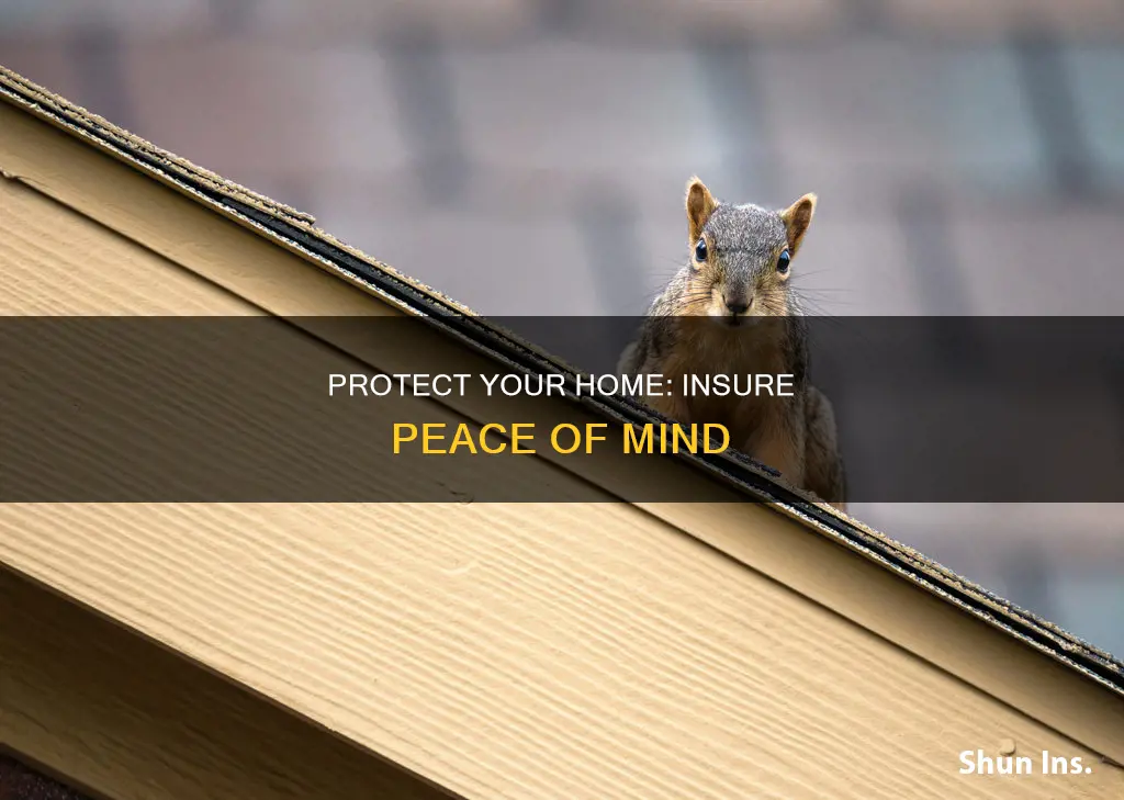 how can you motivate someone to get homeowners insurance