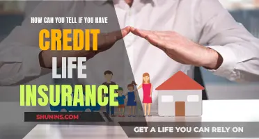 Uncover Credit Life Insurance: Check Your Policy Status