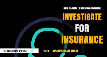 How Thoroughly Do Underwriters Investigate Insurance Applications?