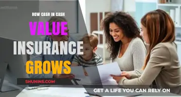 Maximizing Wealth: Understanding Cash Value Insurance Growth Strategies