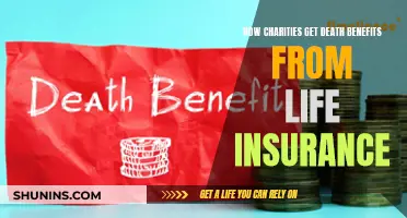 Charities Collecting Death Benefits: The Life Insurance Loophole