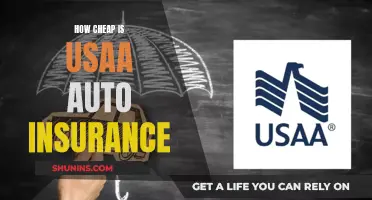 U.S.A.A. Auto Insurance: Uncovering the Truth About Their Rates