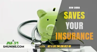 Cobra Coverage: How It Protects Your Health Insurance Continuity