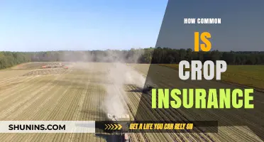 Understanding Crop Insurance: How Common is it Among Farmers?