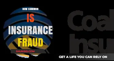 Unveiling the Prevalence of Insurance Fraud: How Common is It?
