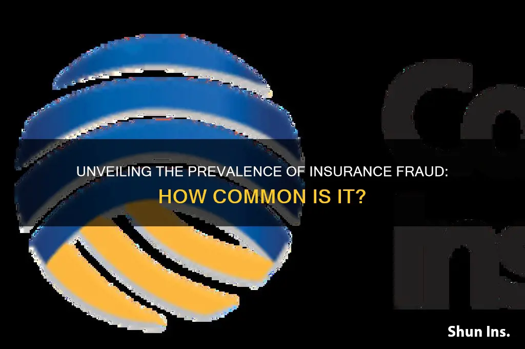 how common is insurance fraud