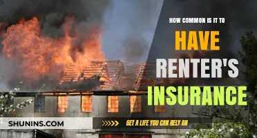 Is Renter's Insurance a Must-Have? Exploring Its Prevalence and Importance