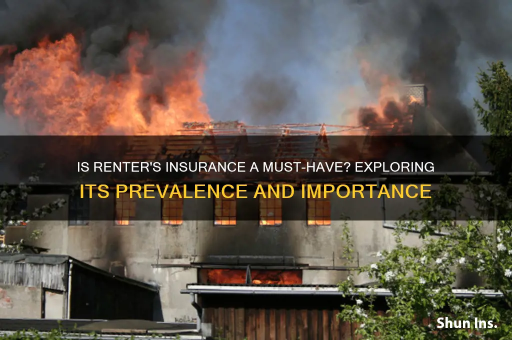 how common is it to have renter