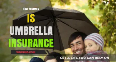Understanding Umbrella Insurance: How Common Is It and Why?