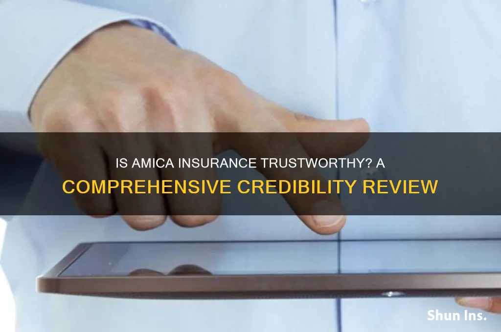 how credible amica insurance