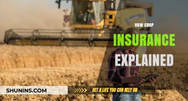 Understanding Crop Insurance: A Comprehensive Guide for Farmers