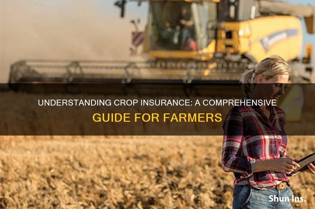 how crop insurance explained