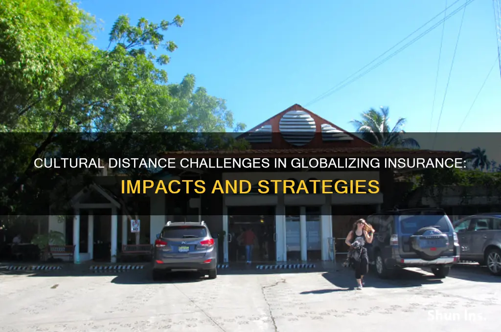 how cultural distance effect on insurance industry when they globalization