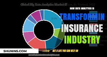 Data Analytics Revolution: Transforming the Insurance Industry's Future