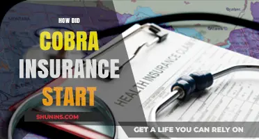 The Origins of COBRA Insurance: A Comprehensive History and Evolution