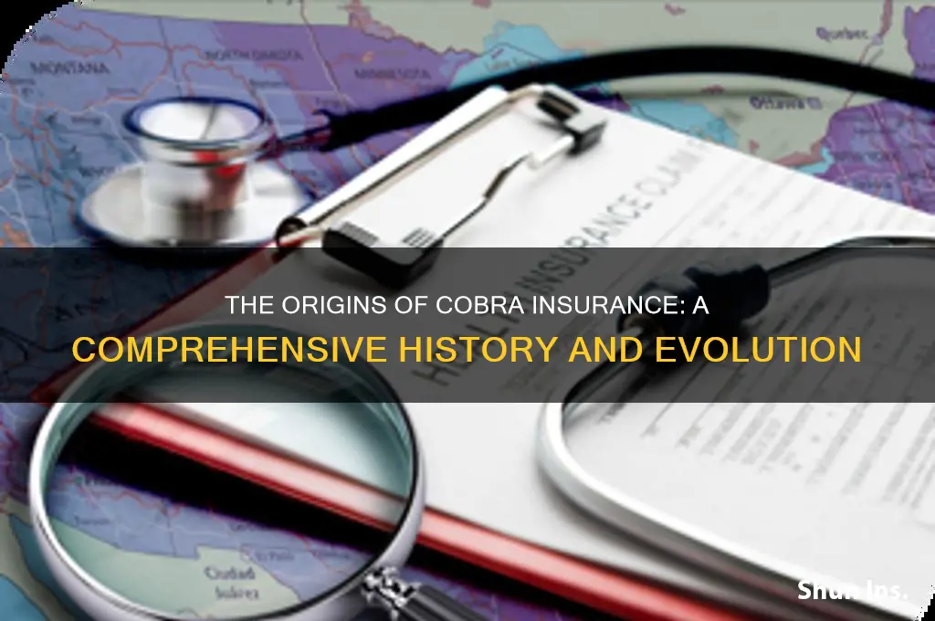 how did cobra insurance start