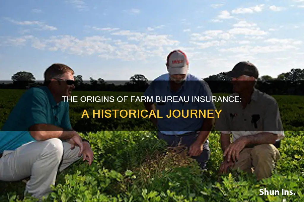 how did farm bureau insurance start