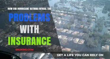 Hurricane Katrina's Aftermath: Uncovering Insurance Failures and Systemic Flaws