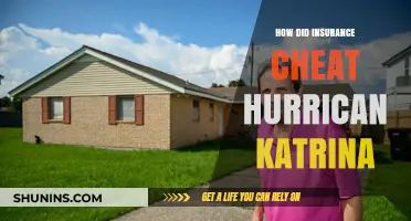 Insurance Fraud Exposed: How Scammers Exploited Hurricane Katrina's Devastation
