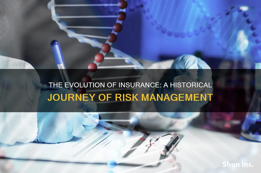 how did insurance come about
