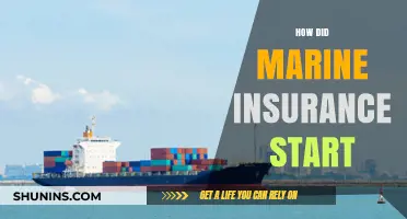 The Origins of Marine Insurance: A Historical Journey