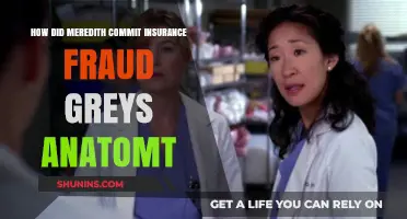 Meredith's Insurance Fraud Scheme: Unraveling Grey's Anatomy's Shocking Twist