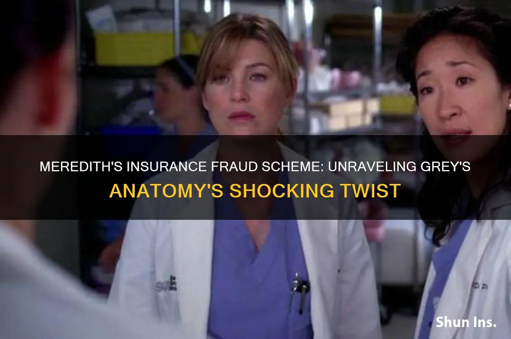 how did meredith commit insurance fraud greys anatomt