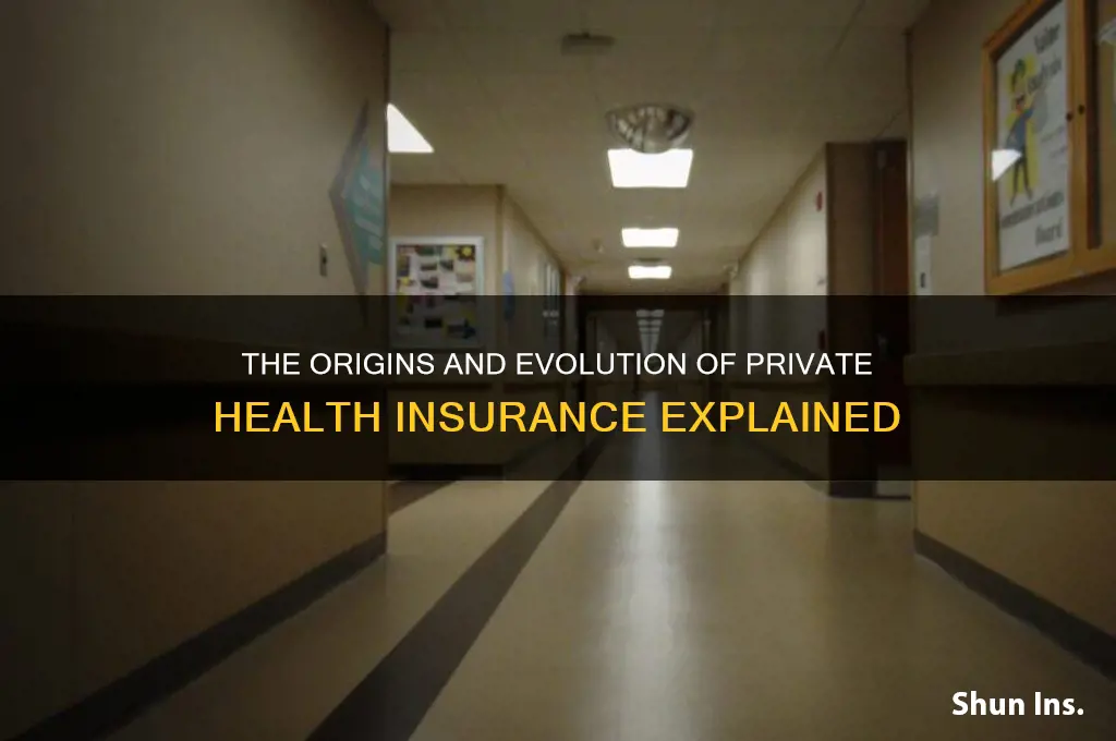 how did private health insurance began