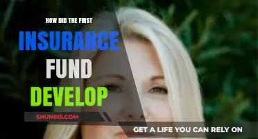 The Origins of Insurance: How the First Fund Developed