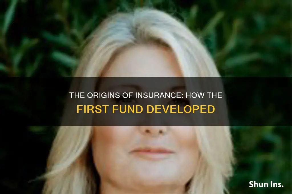 how did the first insurance fund develop