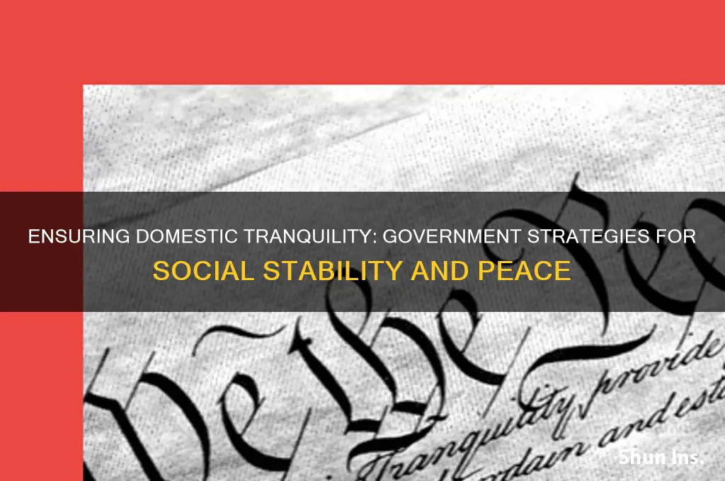 how did the government insure domestic tranquility
