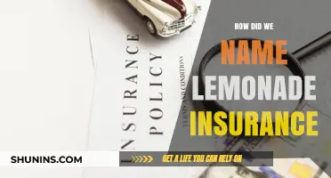 The Story Behind Naming Lemonade Insurance: A Creative Journey