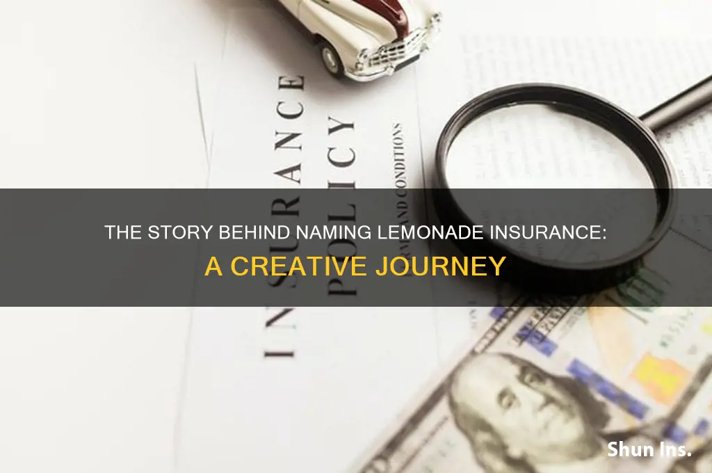 how did we name lemonade insurance
