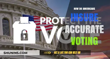 Ensuring Democracy: How Americans Safeguard Accurate Voting Processes