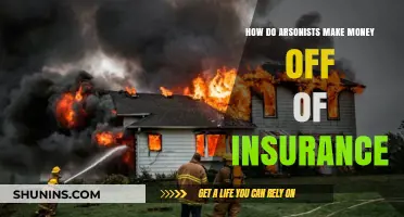 Arsonists' Insurance Fraud: A Dangerous Money-Making Scheme