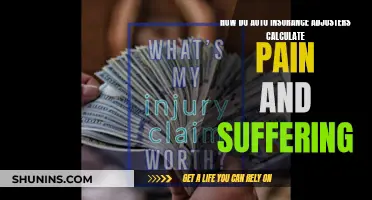 Unraveling the Mystery of Pain and Suffering Calculations in Auto Insurance Claims