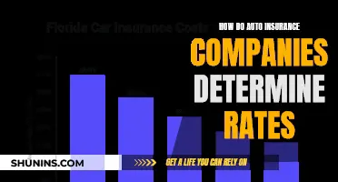 The Complex Art of Auto Insurance Rate Determination