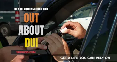 Uncovering the Truth: Auto Insurance and DUI Disclosure