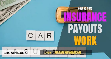 Understanding Auto Insurance Payouts: Claims, Coverage, and Compensation