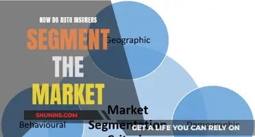 Unveiling the Strategies: Auto Insurers' Market Segmentation Secrets