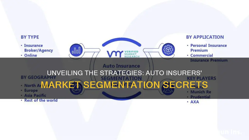 how do auto insurers segment the market