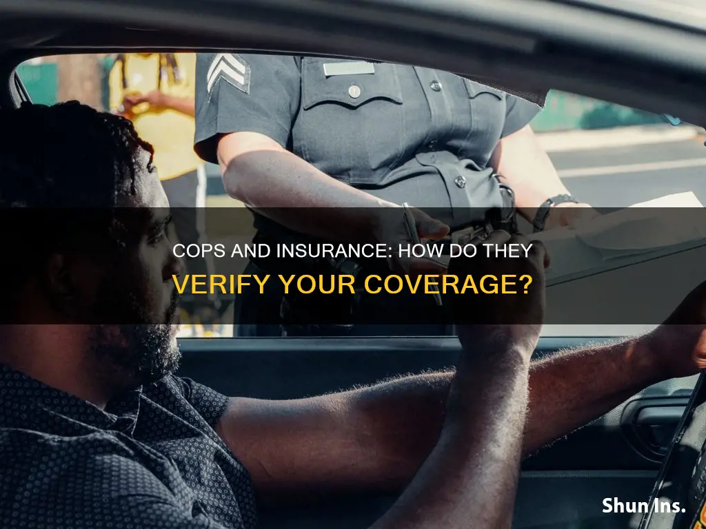 how do cops know if your insurance is valid