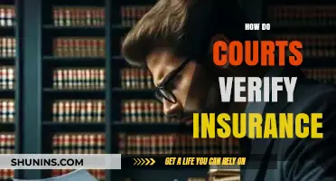 How Courts Verify Insurance: A Comprehensive Legal Verification Process Explained