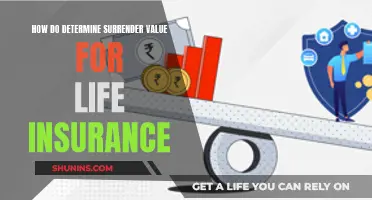 Understanding Life Insurance: Surrender Value Explained