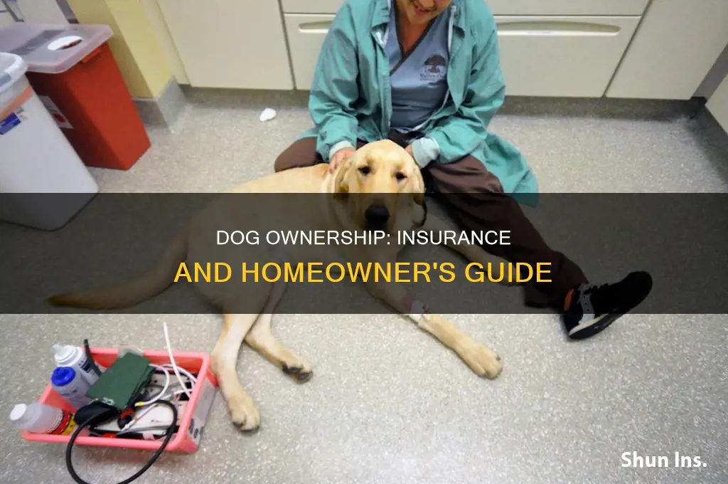 how do dogs have effect on homeowners insurance