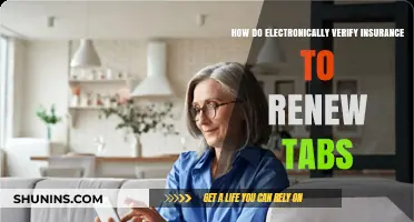 Efficiently Renew Your Tabs: Electronically Verifying Insurance Made Simple