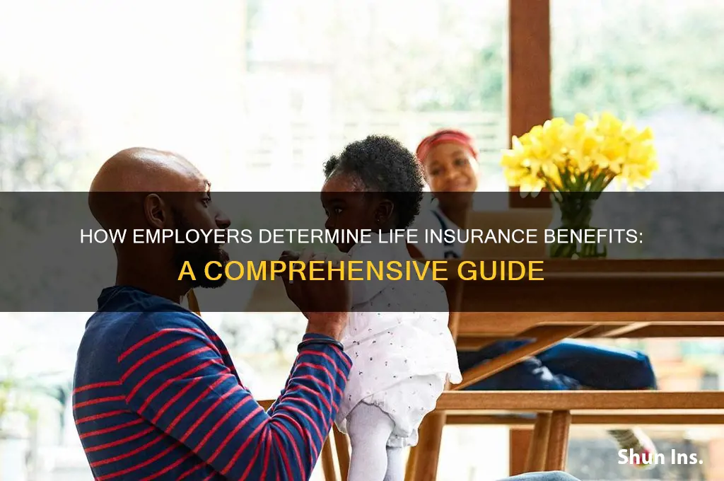 how do empliyers figure out lufe insurance benefirs