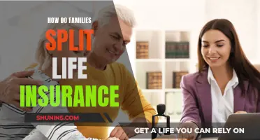 Life Insurance: Splitting Benefits for Families Fairly